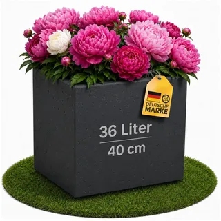 Ondis24 Caro 39 x 39 x 39 cm Anthrazit