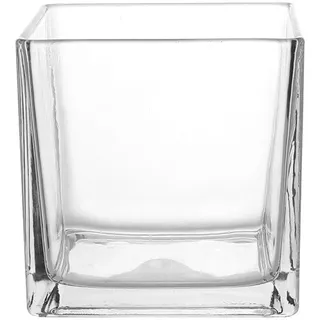 HOLIDYOYO Glasvase Eckig 6 Zoll Quadratisch Transparent Robust Für Hydroponische Pflanzen Wohnzimmer Büro Dekorative Blumenvase