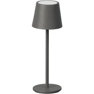 FH Lighting ROXI Grau