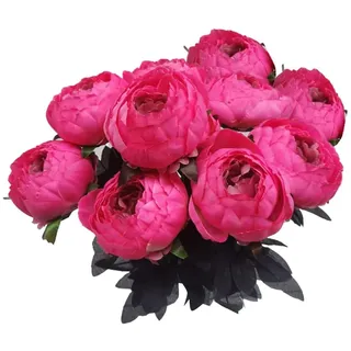 KBOLAE Künstliche Pfingstrosen aus Seide, für drinnen oder draußen, Kunststoff, Pfingstrosen, künstliche Blumen, Hochzeit, künstlicher Blumenstrauß, Zhizhi-Beeren, 10 Stück