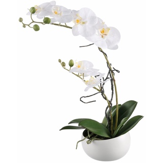 Creativ green Kunstpflanze Orchidee, (1 St.) H: 42 cm weiß Kunstpflanzen Wohnaccessoires