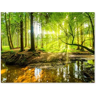 MuchoWow© Gartenposter Groß 160x120 cm XXL Outdoor Bilder Gartendeko für draußen Wetterfest Garten Deko Banner Draußen Gartendekoration Bild Wald - Landschaft - Wasser - Bäume - Sonne - Grün - Natur