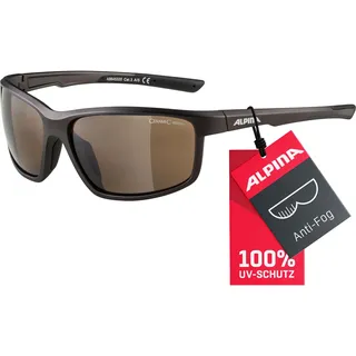 Alpina Defey tin matt-black 320 braun