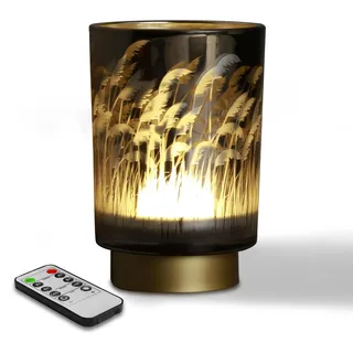 Eywamage Kleine Batterie-Pampasgras-Tischlampe, kabellose Glas-Nachttischlampe mit Fernbedienung und Timer, dekorative Lichter