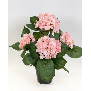 Seidenblumen Roß Hortensienbusch Deluxe 42cm rosa-pink im Topf LM, Kunstpflanzen wie echt, Fake Plants künstliche Hortensie Grün Busch Pflanzen Blumen, Wohnzimmer Home Decoration Dekopflanzen