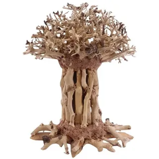 Aquaone Aquarium Bonsai Mammut Baum XL 20x15x25 Wurzel Holz Aquarium Deko Aquascaping