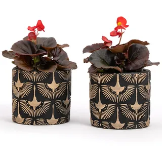 Vimin Box Ein Paar handverzierte Terrakotta-Vasen, Schwarz und Gold, für die Dekoration von Pflanzen, Blumen, Durchmesser 11 cm - 11 cm (schwarz/gold, 2 x S)