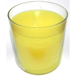 PartyLite Glolite Duftwachsglas "Wilde Lemongrass Citronella" - Produktbeschreibung siehe unten