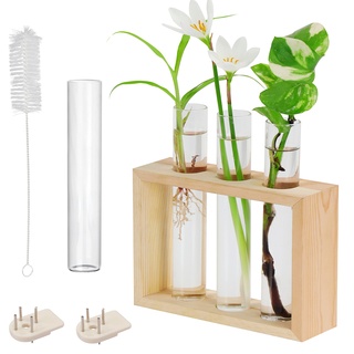 BELLE VOUS Hängende Glas Reagenzgläser für Blumen - 4 Kleine Vasen Set (1 Ersatz) mit Holzständer - Reagenzglas Vase für Pflanzen, Pflanzenvermehrung, Hydrokultur & Deko für Tisch oder zum Aufhängen