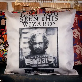 Harry Potter Kissen - Have You Seen This Wizard