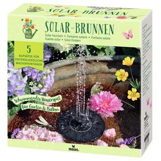 Moses Wasserspiel Blatt & Blüte