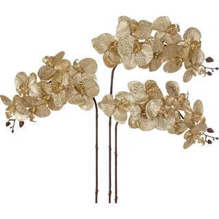 Briful Kunstblume Orchideenzweig Künstliche Phalenopsis Orchidee Dekorative Weiße Blumen Kunstzweig Deko Real-Touch Kunstblumen Wie Echt mit 9 Blüten (Champagne, 3 PCS)