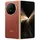 512 GB Reddish Brown