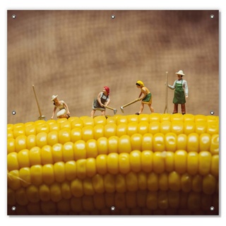 Sonnenschutz Lustige Bauernfiguren auf einem Maiskolben beim Arbeiten, Wallario, blickdicht, mit Saugnäpfen, wiederablösbar und wiederverwendbar gelb 96 cm x 93 cm