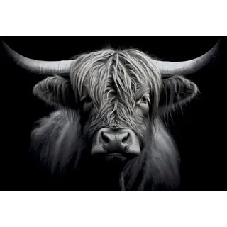 EUROART Wandbild 50 x 100 cm Highland Cattle II Metall Schwarz