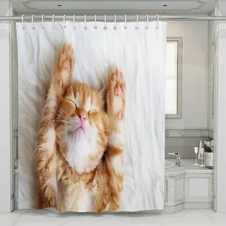Große Orange Katze, Tierserie, B 100 × H 180 Mm, Digitaldruck, Polyester