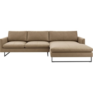 freistil ROLF BENZ Ecksofa freistil 134, leger gepolstert gelb|grau