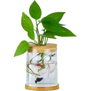 Mini-vase Für Blumen Und Schnittblumen - Glas-tischvase Für Dekoration Und Hochzeiten