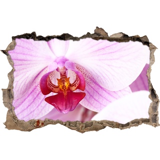 Pixxprint 3D_WD_S2090_62x42 wunderschöne Rosa Orchidee Wanddurchbruch 3D Wandtattoo, Vinyl, bunt, 62 x 42 x 0,02 cm