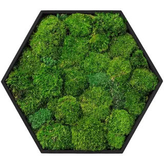 ECD Germany Haus Moosbild 38x34 cm