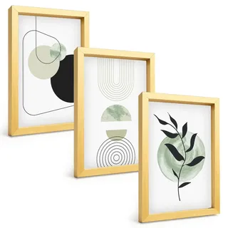 BILDER SET 3er Set - 20x30 cm Goldrahmen - Abstrakte Pflanzenformen