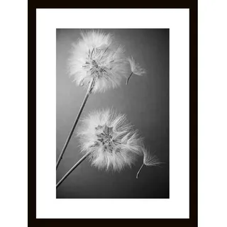 Euroart Glasbild, Schwarz, Weiß, Glas, rechteckig, 30x40x1.40 cm, Fotografie, einfache und schnelle Anbringung, glänzend, Bilder und Zubehör, Wandbilder, Glasbilder
