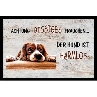 Ladreas Fußmatte Schmutzfangmatte Frau bissig Hund harmlos F255, 75x50 braun 75x50 | 50 cm x 75 cm