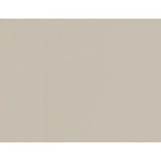 Erismann Vliestapete Uni Beige, Leicht Strukturiert (10,05x0,53 m)