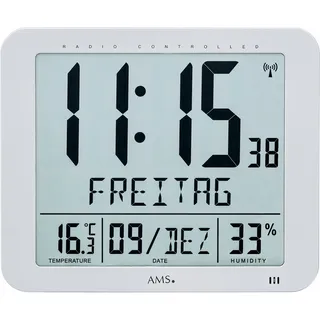 AMS Funk-Wanduhr (5884)