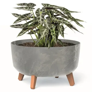 botle Bonsai Schale Baum Mini Garten Blumentopf an den Füßen Pflanzkübel D 38 cm hell Grau Kunststoff Töpfe mit Einsatz Beton Optik Übertöpfe