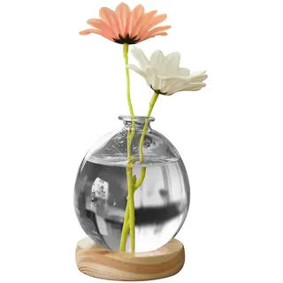 Firlar Hydrokulturvase aus Transparentem Glas mit Sockel, Kreative Vase, Hydrokultur-Glasvase, Blumenarrangement, Rosa, Weißer Kürbis, Kleine Vase, Blumenpflanze, Glastöpfe,(Weiße Kugel)