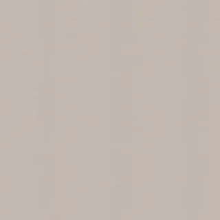 Superfresco Easy Vliestapete Uni Taupe 52 cm x 10 m 1 St 34193