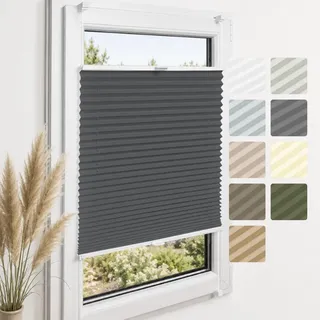 Home-Vision Premium Plissee ohne Bohren Klemmfix Graphit B70 x H200cm | Faltrollo Easyfix Klemmträger Verdunklung Blickdicht Sonnenschutz Jalousie für Fenster & Tür