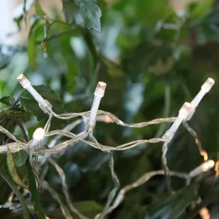Star Trading LED Lichterkette Batterie 1,9 m Warmweiß Transparent