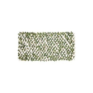 Garden Deluxe Dekozaun Bayberry grün B/H/L: ca. 100x0,3x200 cm - grün