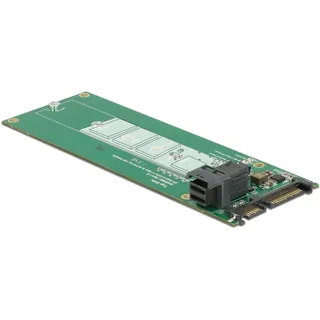 DeLock Seriell Adapter [1x SATA 22 Pin / SFF-8643 NVMe > 1 x M.2