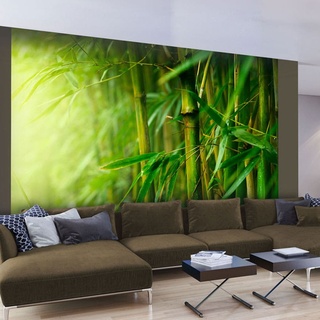 Fototapete - Dschungel - Bambus