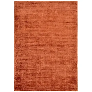 Teppich Gr. 1, orange (kupfer), B:40cm H:10mm L:60cm, Viskose, Teppiche, Teppich