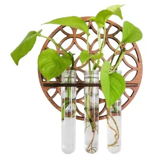 Rundes hohles geschnitztes hängendes Holzregal, Pflanze Hängendes Holzregal Vase, Hängende Propagation Station Wandvase Reagenzglas Für Innendekoration Wanddekoration Wohnzimmer (Rund)