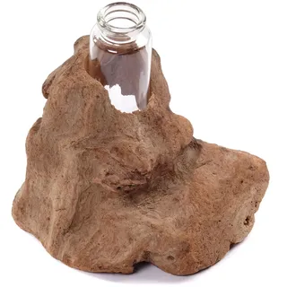 CREEDWOOD REAGENZGLAS VASE Yuma | Treibholz, 13x11cm (HxB) | Holz Blumen Vase, Treibholz mit Glasvase, Wurzelholz, Dekovase, Tischdeko