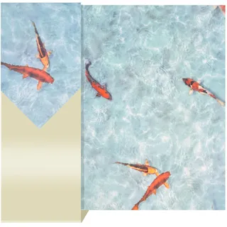 Primaflor PVC Boden Starlight | Koi | 200x50 CM | Türkis