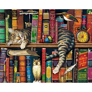TISHIRON DIY Katzen und Bücher Malen Nach Zahlen, Erwachsene, Acrylmalset mit Pinsel und Acrylpigment Ölgemälde für Freunde Familie 16 x 20 inches
