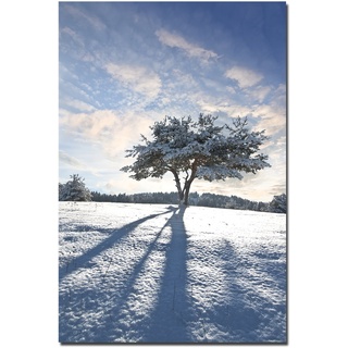 120x60cm - Fotodruck auf Leinwand und Rahmen Schnee Baum Schatten Winter - Leinwandbild auf Keilrahmen modern stilvoll - Bilder und Dekoration