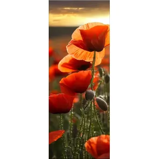 artissimo, Glasbild, 30x80cm, AG5472A, Natur und Blumen: Mohn-Feld II, Bild aus Glas, Wandbild Wonzimmer modern, schmal hoch, Mohnblüten, Mohnblumen, rot