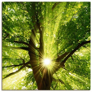 Artland Wandbild Sonne strahlt explosiv durch den Baum, Bäume (1 St), als Leinwandbild, Poster, Wandaufkleber in verschied. Größen grün 40 cm x 40 cm