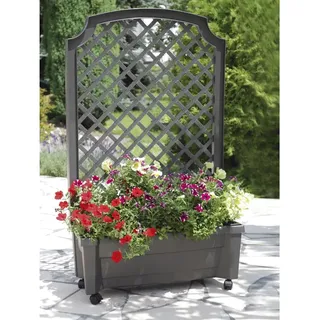 KHW Calypso Pflanzkasten mit Spalier 79 x 35 x 135 cm Grau