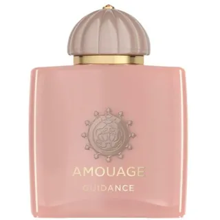 Amouage Odyssey Guidance Eau de Parfum 100 ml