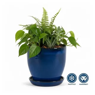 Teramico Pflanzkübel Blumentopf Pflanzgefäß Modell "EggPot" 31cm Keramik Royal Blau mit, 100% Frostfest blau
