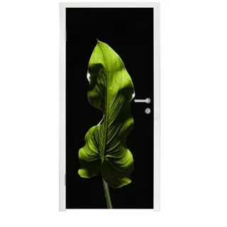 MuchoWow Türtapete Ein grünes Blatt auf schwarzem Hintergrund, Matt, bedruckt, (1 St), Türfolie Selbstklebend, Türtapete, Türdeko Poster, 95x235 cm bunt 95 m x 235 m
