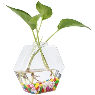 Hängende Glasvase Nr. 3 Für Hydrokulturpflanzen, Aquarium, Innendekoration – 13,5 X 13,5 X 5 Cm, Transparent